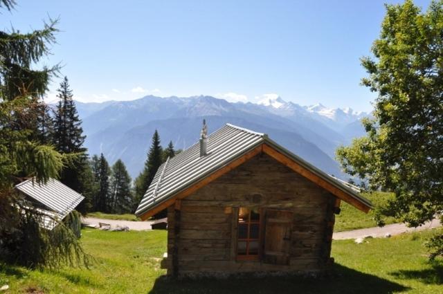 Le Mayen de Colombire Crans-Montana Exterior foto